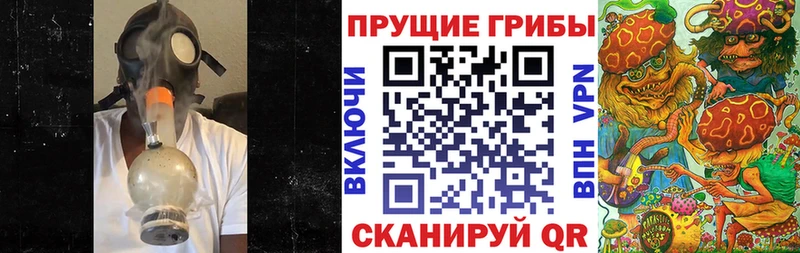 Псилоцибиновые грибы Psilocybe  Советская Гавань 